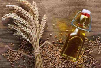 Սերբիան թույլատրել է ցորենի և բուսական յուղի արտահանումը
