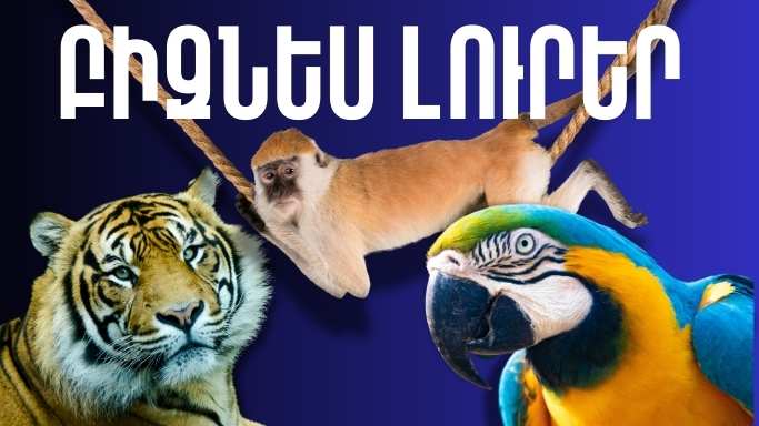 Մայիսի 26-ի բիզնես լուրերը