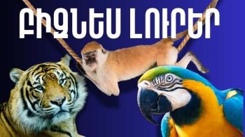 Մայիսի 26-ի բիզնես լուրերը