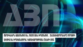 Ծաղիկներն  աճեցնում են, բայց չեն իրացնում․ տնտեսվարողները բողոքի ակցիա են իրականացրել կառավարության շենքի մոտ