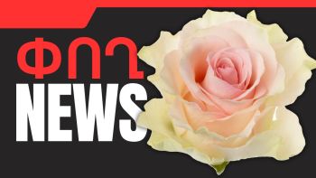 News Thumb
