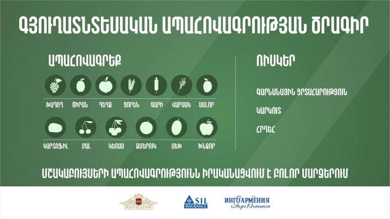 «Գյուղատնտեսության ոլորտում ապահովագրական համակարգի ներդրման փորձնական ծրագրի իրականացման համար պետական աջակցության» ծրագիր