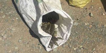 Ապօրինի որսված 40կգ խեցգետինը բաց է թողնվել Հերհերի ջրամբար