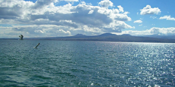 Հիդրոօդերևութաբանության և մոնիթորինգի կենտրոնը կատարել է Սևանա լճի ջրիմուռների ծաղկման ընթացքի արբանյակային վերլուծություն