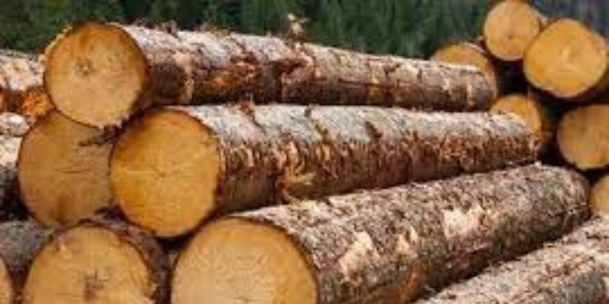 Արձանագրվել են ապօրինի փայտանյութի ու սևահողի տեղափոխման, մթնոլորտային օդի աղտոտման դեպքեր