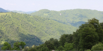 Խախտումներ են հայտնաբերվել «Հայանտառ» ՊՈԱԿ-ի Նոյեմբերյանի անտառտնտեսությունում