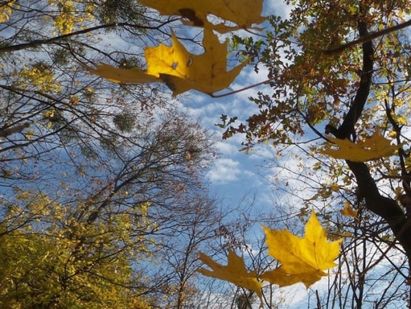 Օդի ջերմաստիճանը կբարձրանա 4-5 աստիճանով