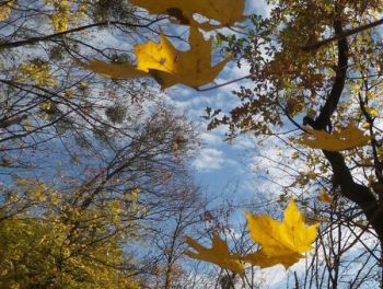 Օդի ջերմաստիճանը կբարձրանա 4-5 աստիճանով