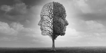 Character: competitive advantage or responsibility? Five distinguishing factors