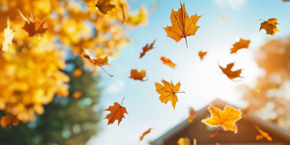 Տեղումներ չեն սպասվում, օդի ջերմաստիճանը կբարձրանա. եղանակային կանխատեսումը հանրապետությունում