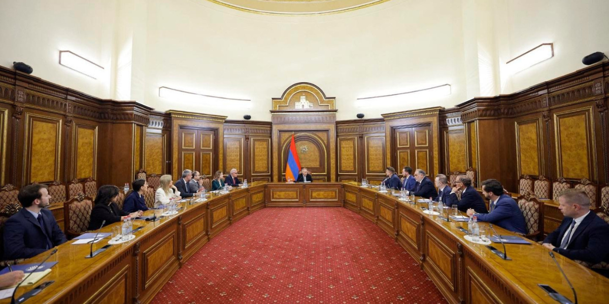 Փաշինյանը «Save Armenia»-ի ներկայացուցիչների հետ հանդիպմանը կարևորել է կազմակերպության հետ ակտիվ համագործակցությունն ու երկխոսությունը