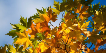 Սպասվում է առանց տեղումների եղանակ. օդի ջերմաստիճանն աստիճանաբար կբարձրանա