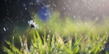 Առանձին շրջաններում սպասվում է անձրև. եղանակային կանխատեսումը հանրապետությունում սեպտեմբերի 30-ին