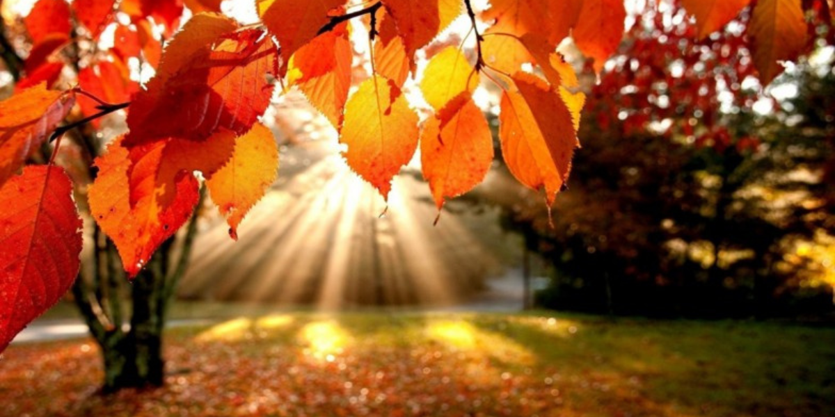 Օդի ջերմաստիճանը կբարձրանա. եղանակային կանխատեսումը հանրապետությունում