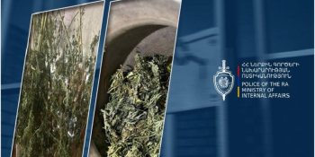 Լոռու քրեական ոստիկանները 7 կիլոգրամից ավելի թմրամիջոց են հայտնաբերել. 53-ամյա վանաձորցին ձերբակալվել է