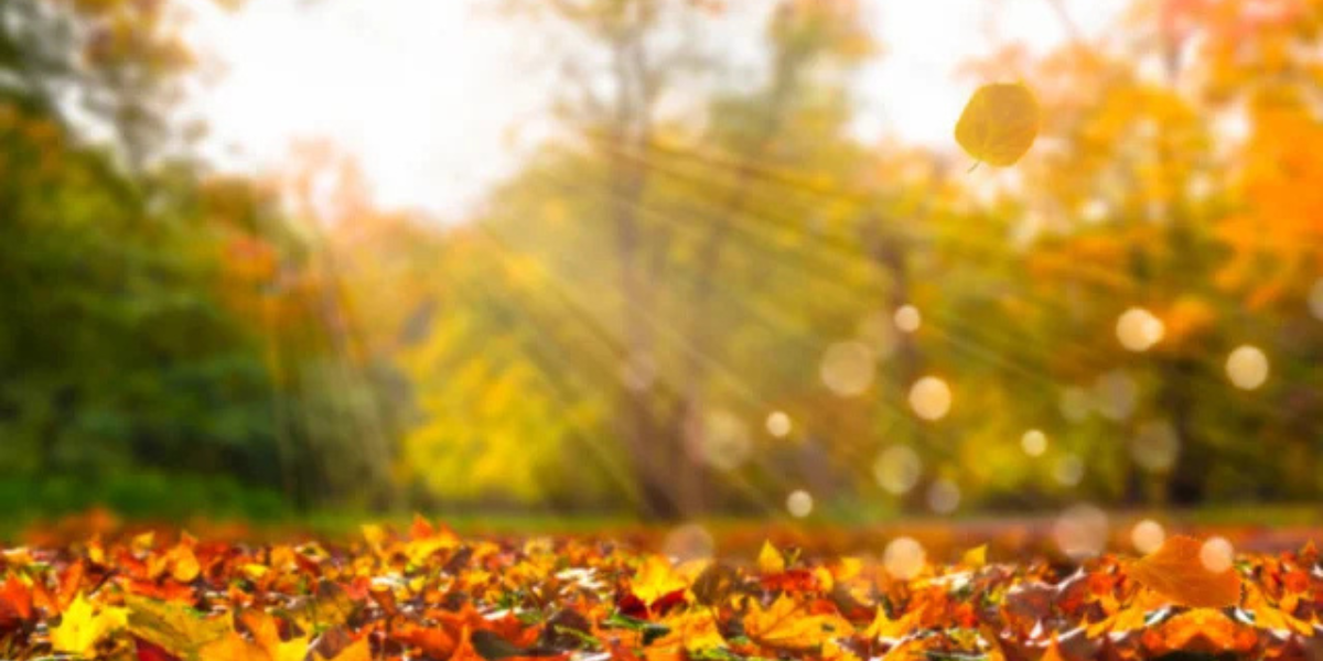 Օդի ջերմաստիճանը կբարձրանա ևս 2-3 աստիճանով, այնուհետև կնվազի