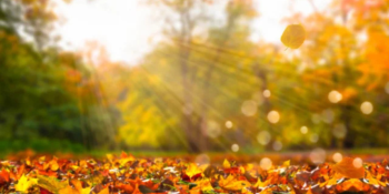 Օդի ջերմաստիճանը կբարձրանա ևս 2-3 աստիճանով, այնուհետև կնվազի