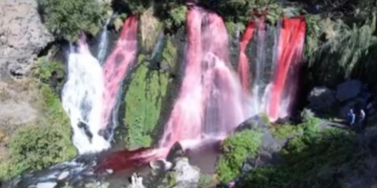 Շաքիի ջրվեժում «գենդեր փարթի» իրականացրածները տուգանվել են 80 հազար դրամով