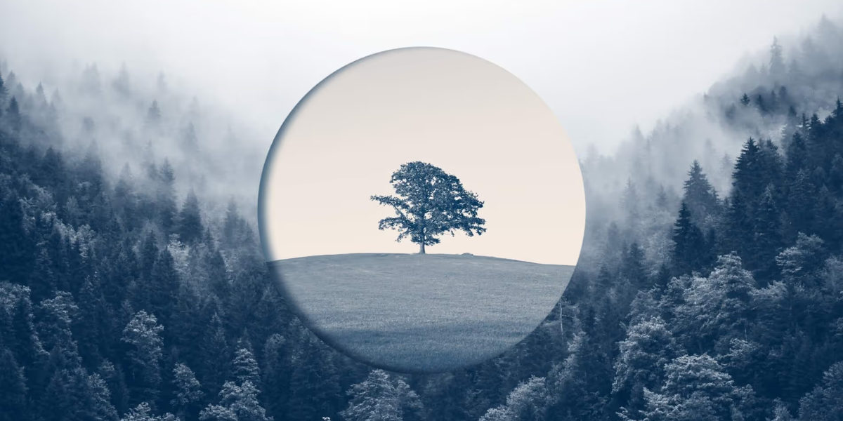 Growth never ends: how established companies find a second wave of growth