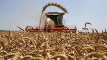 «Հացահատիկային միջանցքով» արդեն տեղափոխվել է մոտ 720 հազար տոննա սննդամթերք