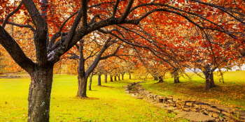 Սպասվում է առանց տեղումների եղանակ. օդի ջերմաստիճանը կբարձրանա