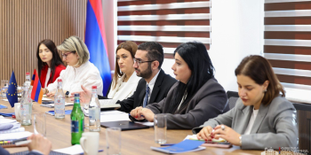 Վիզաների ազատականացման գործողությունների ծրագրի իմպլեմենտացման քննարկումները մեկնարկել են. ՆԳՆ