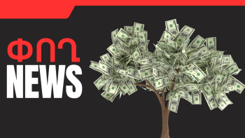 Նոյեմբերի 19-ի բիզնես լուրերը