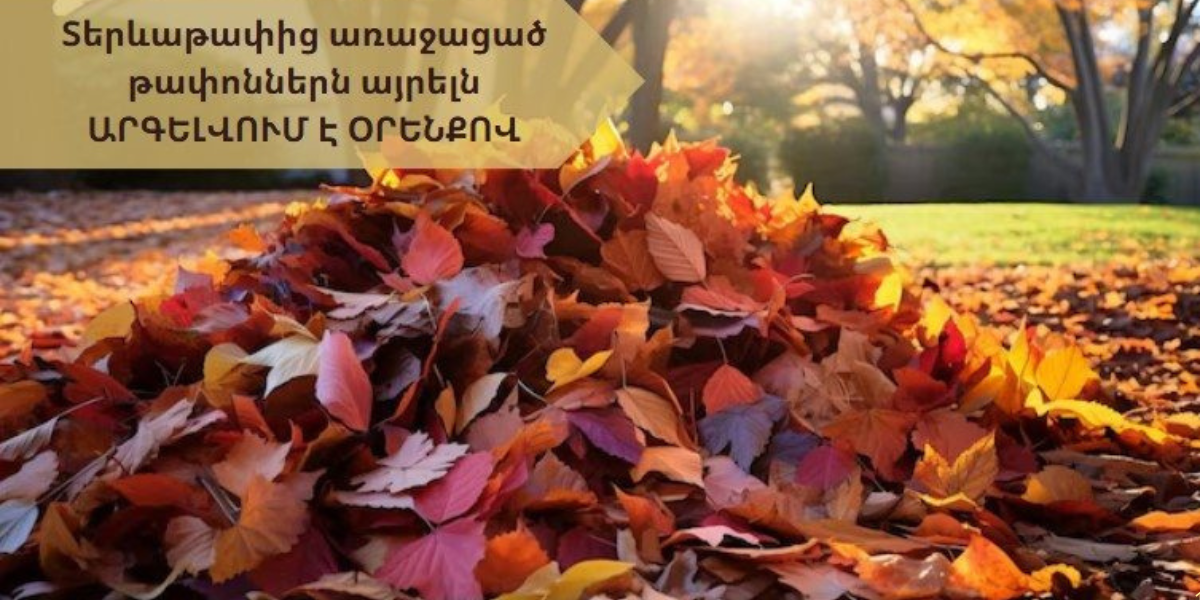 Տերևաթափից առաջացած թափոններն այրելն արգելվում է օրենքով․ որքան տուգանք է նախատեսված