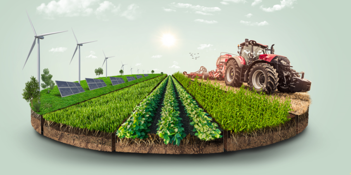 Գյուղատնտեսական վարկերն ու լիզինգները չեն համարվի եկամուտ․ ում է վերաբերում փոփոխությունը և ինչ կտա այն տնտեսվարողներին