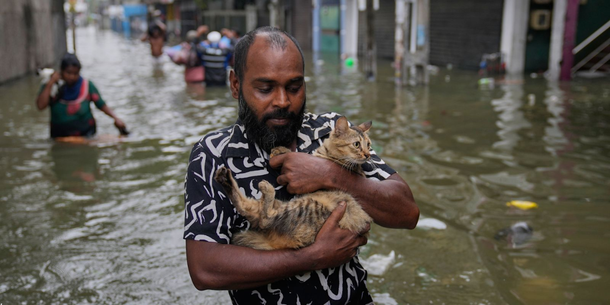 Շրի Լանկայում հեղեղումներ են․ հայտնի է զոհերի թիվը 