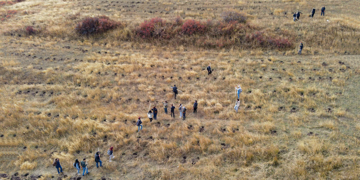 Ծառատունկ՝ հանուն Հայաստանի