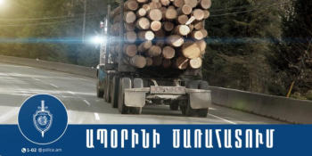 Տավուշի մարզի պարեկներն առանց համապատասխան փաստաթղթերի փայտանյութի տեղափոխման դեպք են բացահայտել