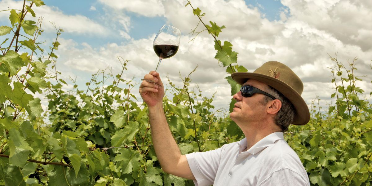 Քննարկվել են խաղողագործության և գինեգործության ոլորտում ՀՀ-ԱՄՆ համագործակցության հեռանկարները