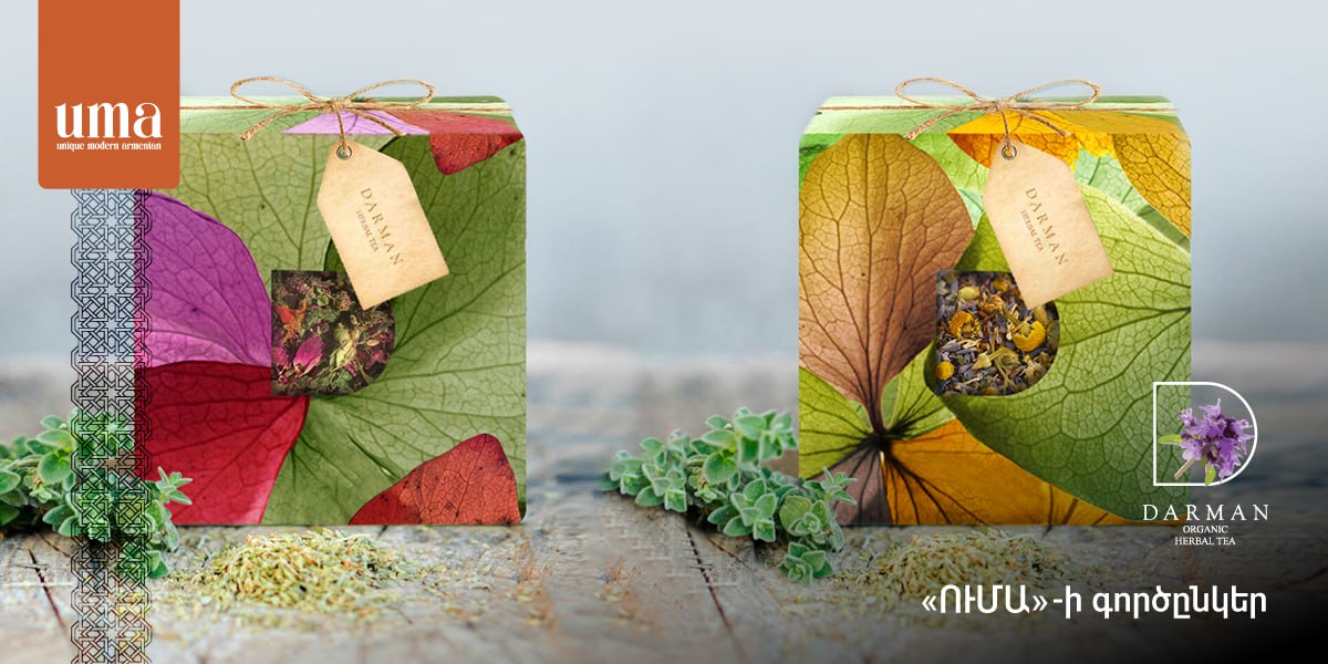 Darman: Discover the healing magic of the mountains and make a healthy tea