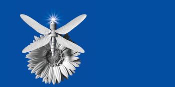 Creative Solutions for an Efficient and Enjoyable Workday