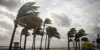 2026 թվականի առաջին արևադարձային փոթորիկը ձևավորվել է սովորականից շուտ՝ հունվարին