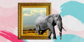 Making a Big Career Transition the Right Way — Without Losing Yourself