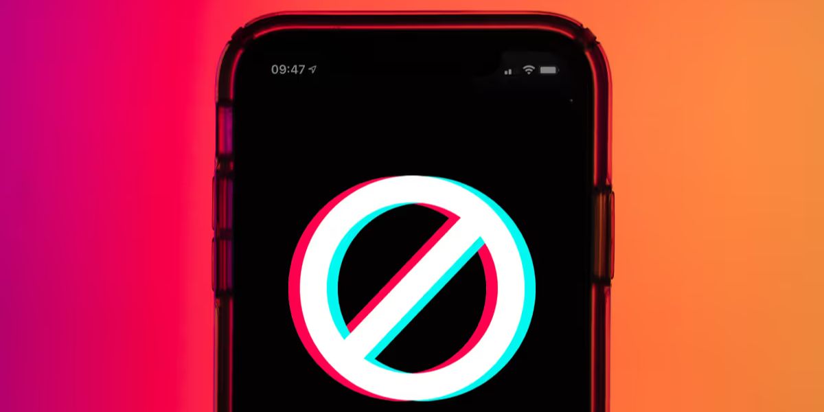 Սոցիալական նպաստ, որը գոյություն չունի․ TikTok-ում նոր խարդախ սխեմայի վտանգները