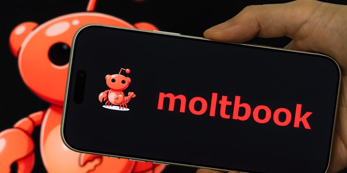 Moltbook. սոցիալական ցանց՝ միայն արհեստական բանականության համար. մարդկանց մուտքը արգելված է
