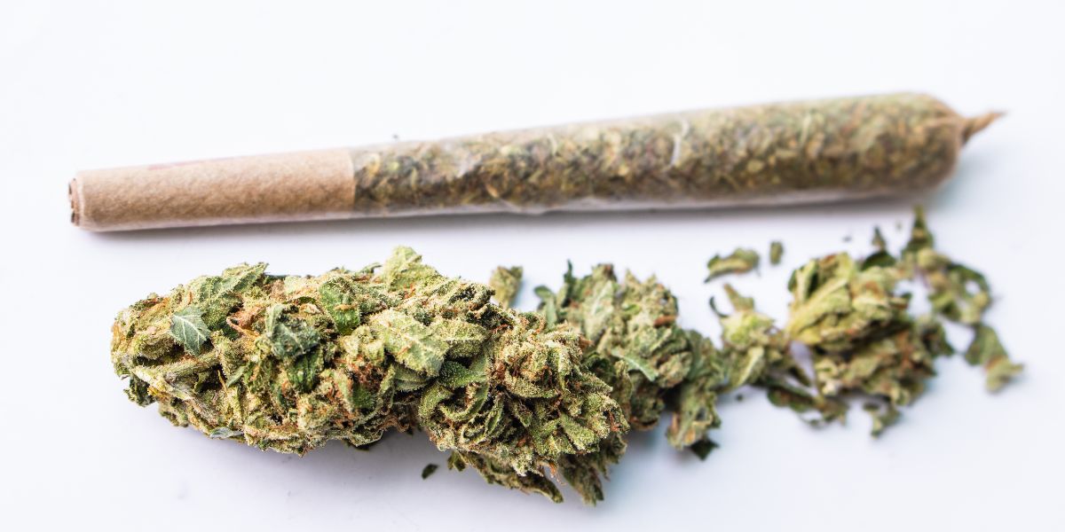 ՊԵԿ-ը բացահայտել է  խոշոր խմբաքանակի` շուրջ 23,4 կգ «մարիխուանա» տեսակի թմրանյութի մաքսանենգության դեպք