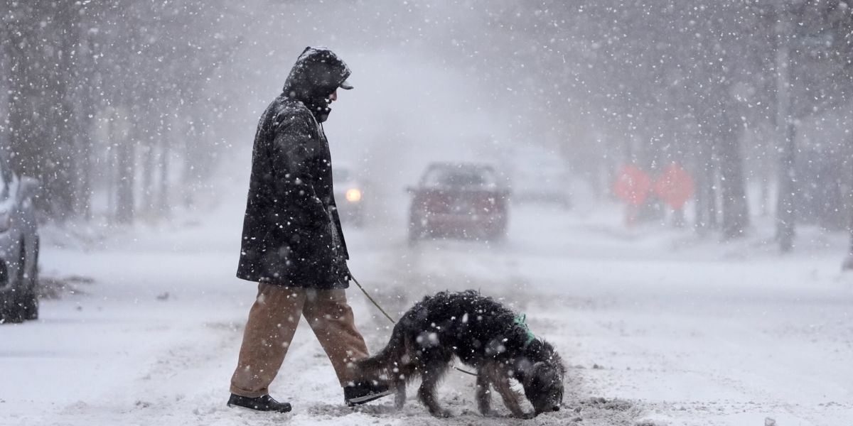 2025-ը վերջին 10 տարվա ամենաձյունառատ տարին է եղել, ինչն ազդել է փոսերի առաջացման վրա․ Փամբուխչյան