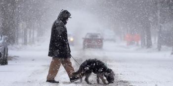 2025-ը վերջին 10 տարվա ամենաձյունառատ տարին է եղել, ինչն ազդել է փոսերի առաջացման վրա․ Փամբուխչյան