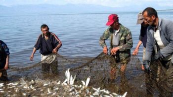 Սևանա լճում թույլատրվել է կատարել ևս 300 տոննա սիգի որս