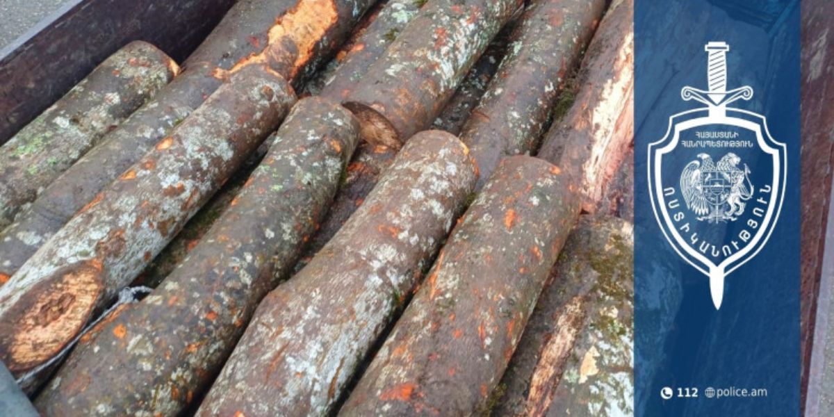 Քրեական ոստիկանները ապօրինի ծառահատման դեպք են բացահայտել