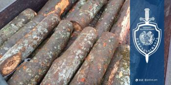 Քրեական ոստիկանները ապօրինի ծառահատման դեպք են բացահայտել