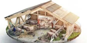 Ծախսերի 50% վերադարձ խելացի անասնաշենքի կառուցման դեպքում