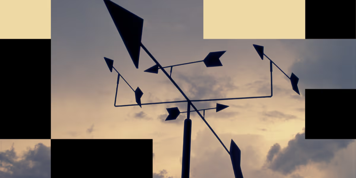 Control the Direction, Not the Situation: The Role of Adaptability in Business