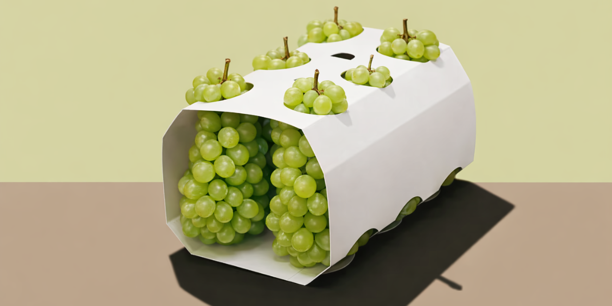 Ինչպես է կազմակերպվելու խաղողի մթերման գործընթացը այս տարի․ տեխնիկական վերազինումներ