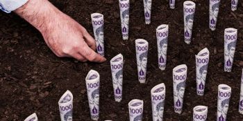 Պետական բյուջե 2025․ եկամուտների ռեկորդ, աճող ծախսեր