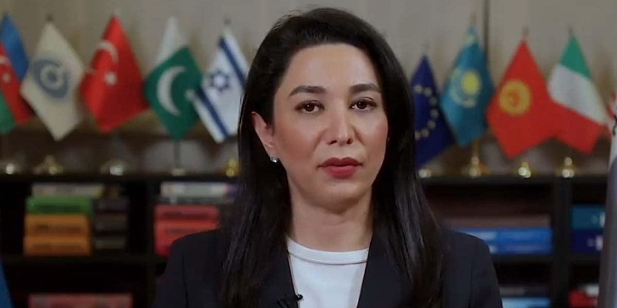 Ադրբեջանի ՄԻՊ-ը պահանջել է 1918թ. իրադարձությունները ճանաչել որպես «հայերի կողմից իրականացված ցեղաuպանnւթյnւն»